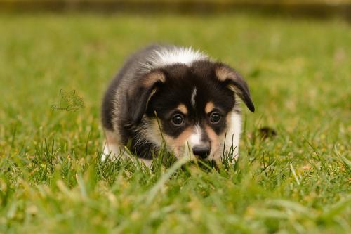 27160290 264193f009a028ca55f549df0542e248 xl