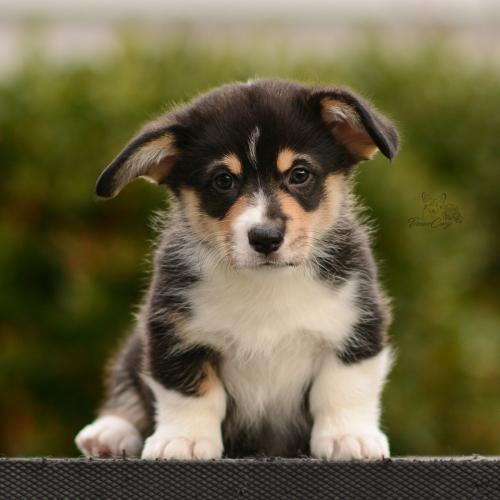 27162510 0d5590fbaca8b5b2be753f1584cdcac3 xl