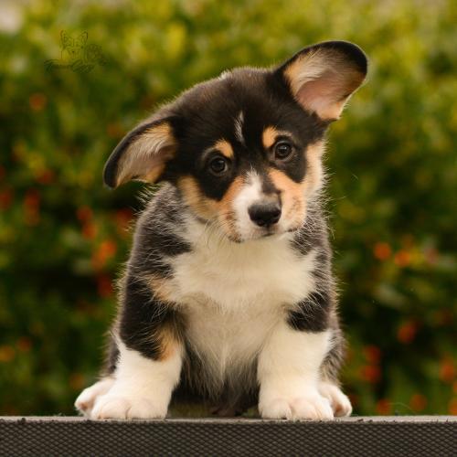 27165490 eba16da1d7e93495c47eb4579cb21619 xl