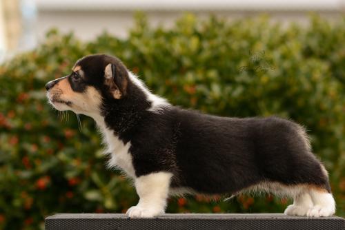 27165492 156ac67d931c26faab81595ecd2b4653 xl