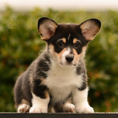 27167248 34ef94cef7b7a4af9e8286c19a4a05bd xl