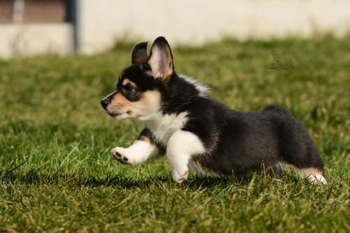 27167280 b34879b71538bbcadf02f60c8f0d4a3d xl