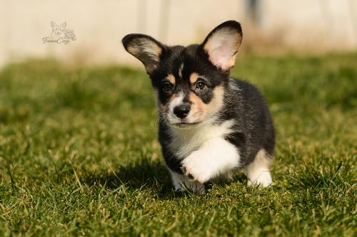 27167282 f116f624343c94911c31c0da409544e1 xl