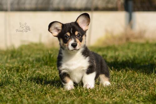 27167284 d69181561b5cf2ea95891e4aebcfc8d0 xl