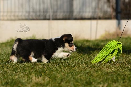 27167288 e3736180a8c45702dab35432096979c6 xl