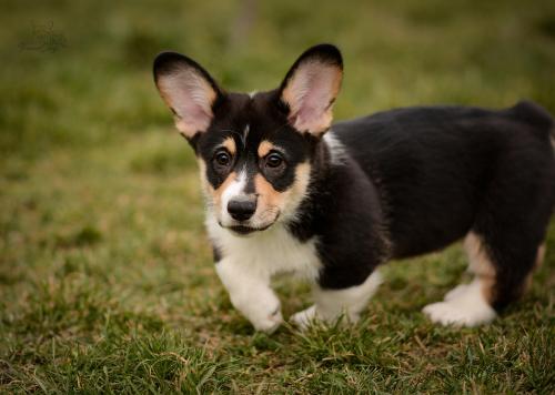 27171626 d0187e7055b2421e00ad73449dccc316 xl