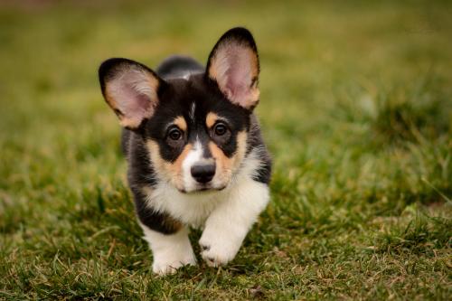 27174666 acb83f377624f9ad5f1dcecbe8b984da xl