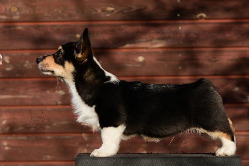 27176542 ac25f25e6e057a3eabaf98cb1b445001 xl