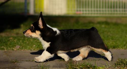 27176544 40ba3b1a0e55492e12a7cf629c38d804 xl