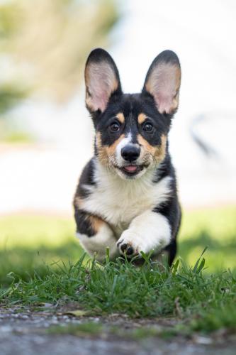 27181370 fd4aa3b042496c35bc87b62497587453 xl