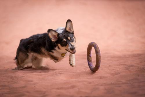 27225224 57940ee81bad3ade4edd639ec588ab5c xl