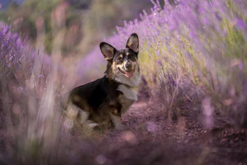 27225226 1cf8c6e3d0d9bcd82cd0345305a87652 xl