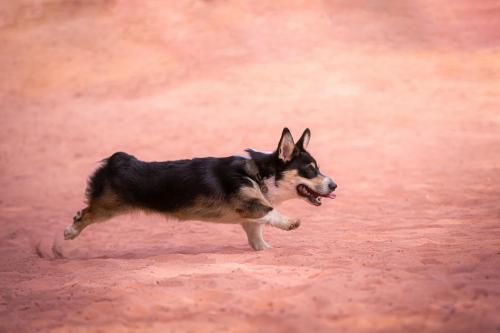 27225228 72c9b9263aa50e4c379b9de0acdbe80e xl