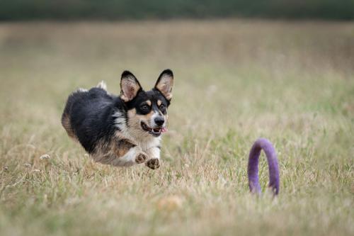 27225230 29c739273d02c719e1913d9b8226ca8c xl