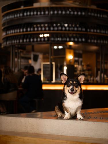 27269062 0d4d3400b706ae806be9f664965b4f4a xl