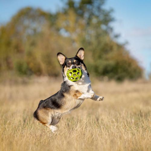 27269160 96c993f7f0a5c4a771024b5f71d53d1d xl