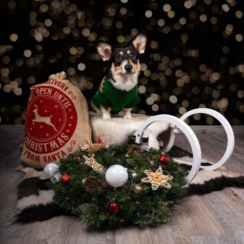 27269222 dfd1ad0c20c7feb6eb989b1a8401d614 xl