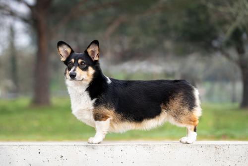 27269224 a33289998b16e6d92dda82c6b50b048b xl