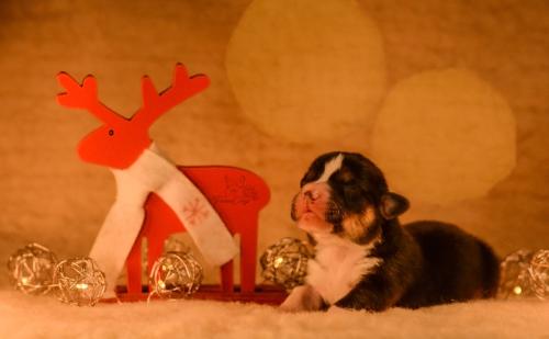 27145648 22ba7a50cda0d381627bf29755effb53 xl