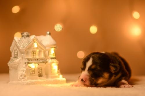 27146832 f2e824de0753ba8d7be20a6dd0d57ad6 xl