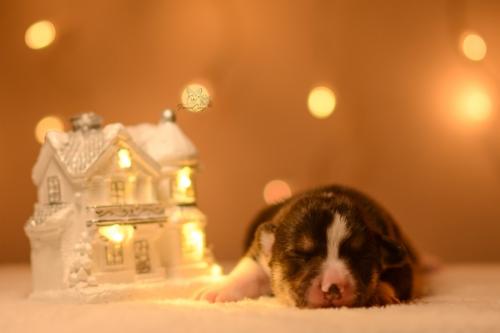 27146834 43a84052bf19f2a5e72db9974076f22a xl