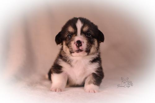 27155468 a06b33c92b4b47e49fbba2c319aa472f xl