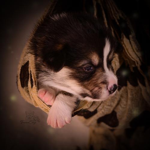 27155472 fc6b941f659504326606ce9c1a45f81f xl