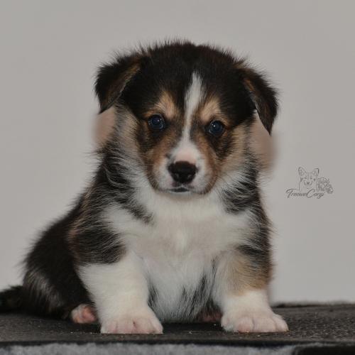 27160094 b3b79b429ebd042e6da385d506e9ab86 xl