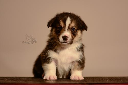 27160112 7103488daa287b14abe3ce0b63c957ca xl