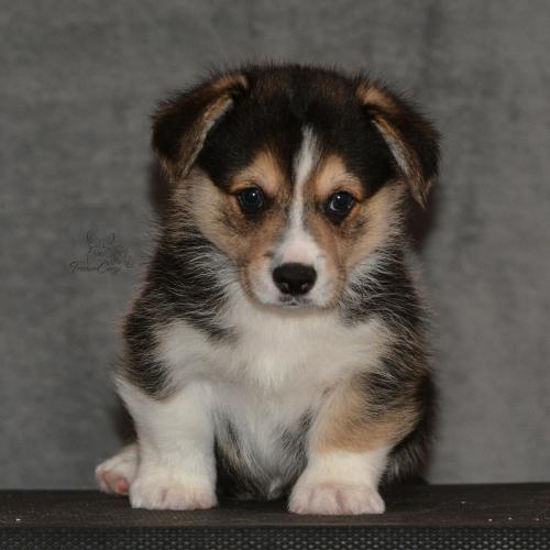 27160258 6425b2137c9ae1552ea7ffc0f592edc8 xl