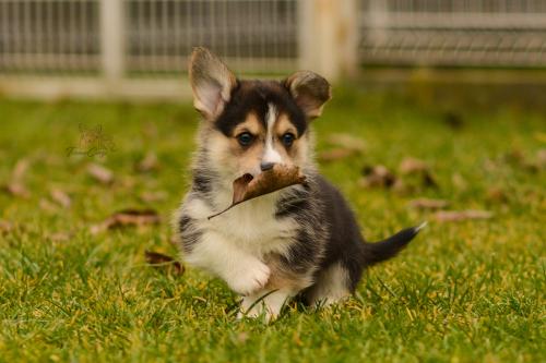 27160314 587b36b164a9f3117a6f12744b83d3a5 xl