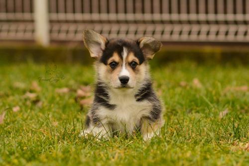 27160316 b57bf9cbcdb0df406c55319e3bdf9b11 xl