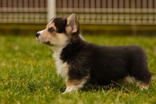 27160318 187ec7deadda39961af8429da148b86b xl