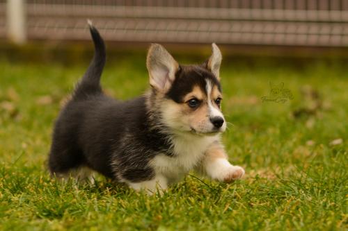 27160320 547925b2821eb8532722f5f4d054a3bd xl