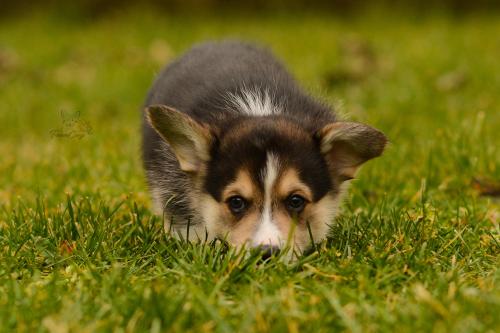 27160324 3d92c34fbb6ae403a974363bb6e850a1 xl