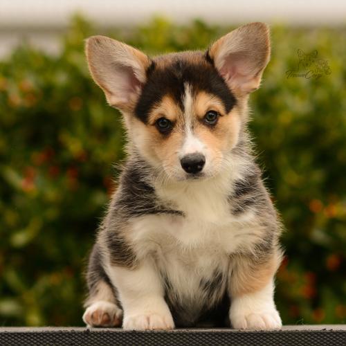 27165498 9ffe6071192befb9274f6990688072e1 xl