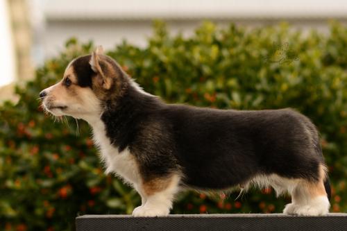 27165500 6a5fddf8867e7fe2856ca12e085776ee xl