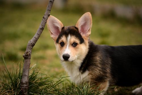 27171616 bb18ab561a061d828a4fefce6e3c8a13 xl