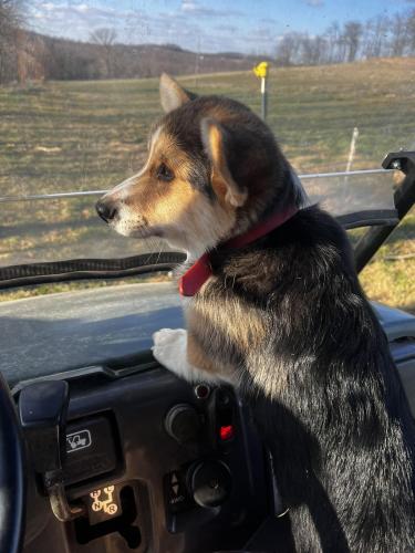 27176364 3d24dc238d1bf65fdc71a254ae743a37 xl