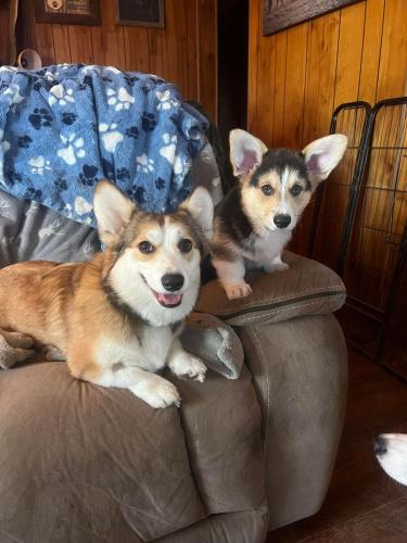 27176366 8c18f47364d97931a10cfaf5589eb4cd xl