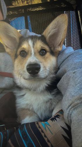 27176368 81a30748b13bf40db7fae44ed3a34bd3 xl