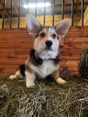 27181376 59466ea9936e8f349528ba3d43a783ef xl