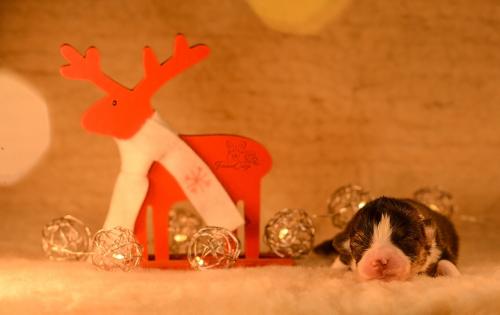 27145650 f736e130c8f682747a045de4310b742a xl