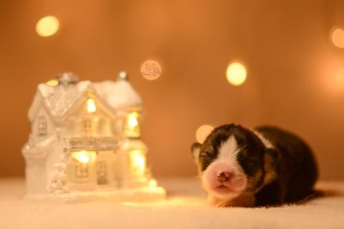 27146826 40fa121d95f70fd941cd84d8a425bdd5 xl