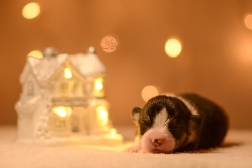 27146828 935fa60db3b9fb1096962c75797ea358 xl