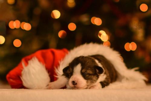 27147972 3fef919478f0944da191d1aff5d2a8c8 xl