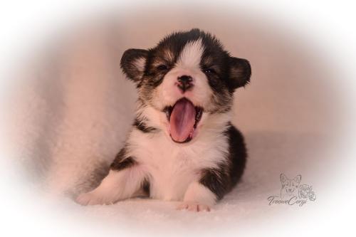 27155474 8680335d6785ee4edb0391ad36398ad4 xl