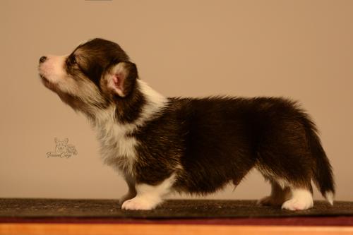 27155520 777d852ebca57376d3d1e41285947955 xl