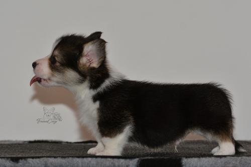 27159962 7a2bb48c7a093f681b2f994dd56e2eaf xl