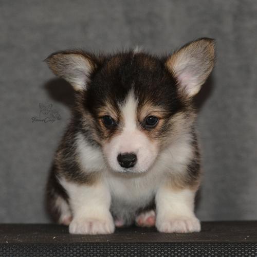 27160252 d7c9f28f1ca5dcc56192e0167afafe5f xl